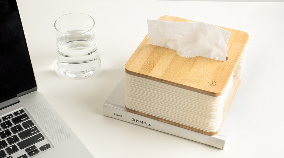 Accordion Tissue Box